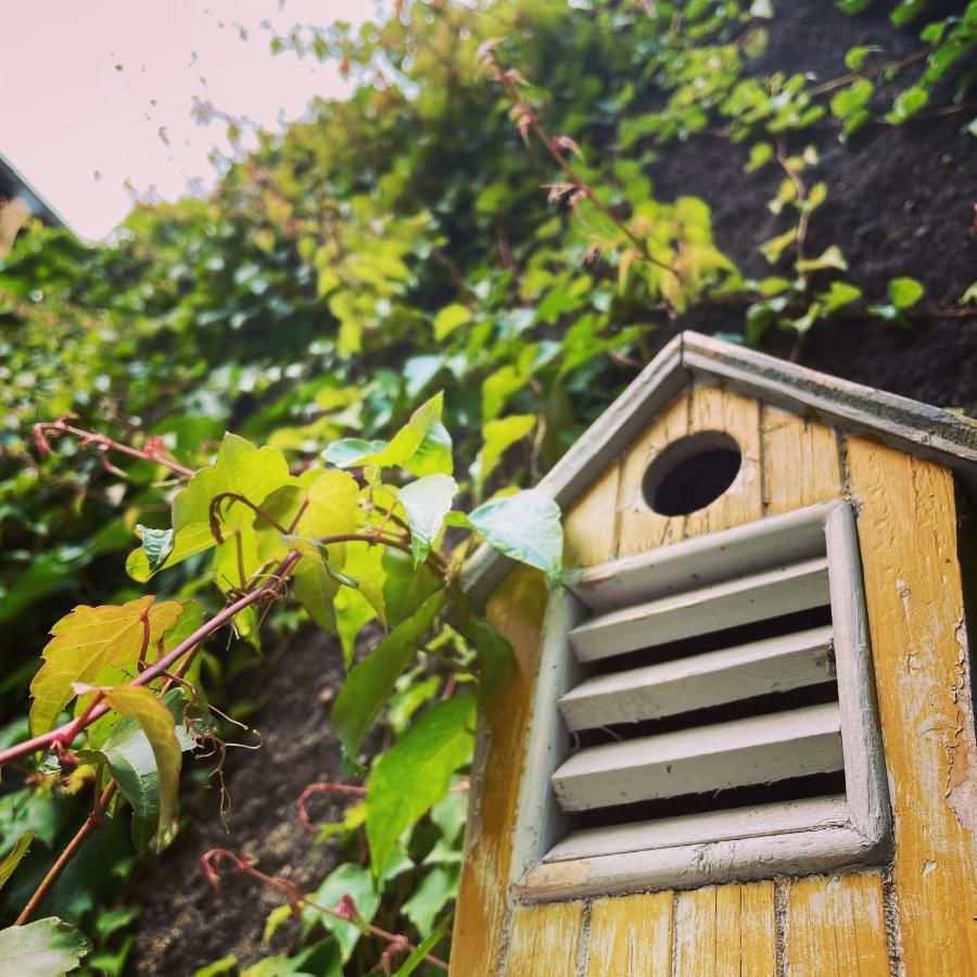 La Maison Aux Murs Anciens Et Ses Chambres Tarbes Esterno foto